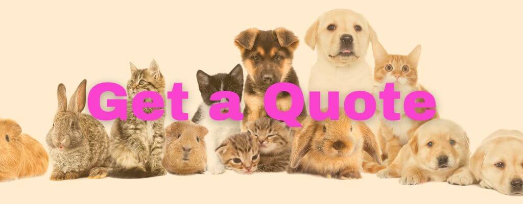 Get a pet sitting quote